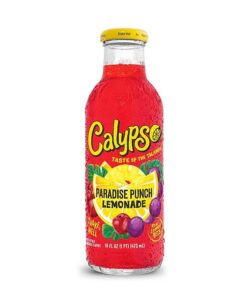 Calypso Paradise Punch 16oz/12pk