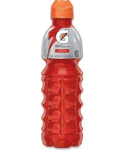 Gatorade Fruit Punch 24oz/ 24pk