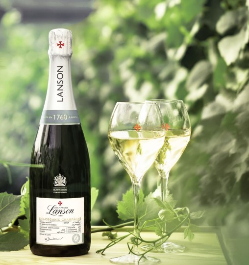 organic champagne bottles for sale